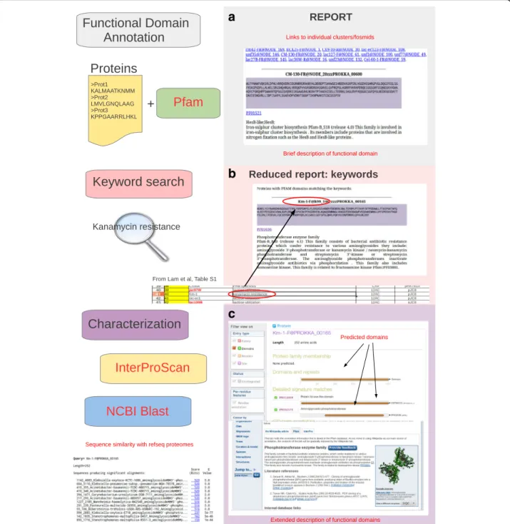Fig. 3 Identification of candidate genes/protein a. A-GAME offers a collection of tools and utilities for the functional annotation of proteins that can be used in order to facilitate the identification of genes with enzymatic activity of interest