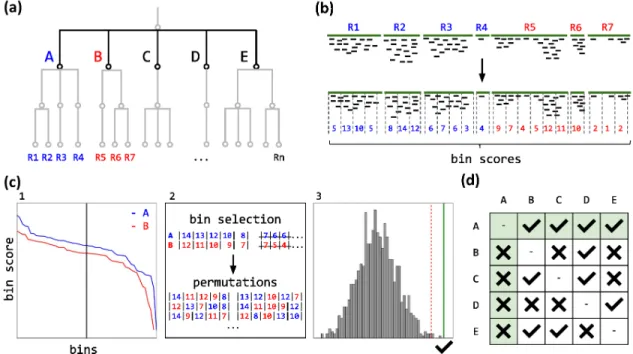 Figure 3.3: Steps for identifications on a taxonomic level. (a) Taxonomic tree structure with the tested level in black and the reference sequences of each node (R1-Rn)