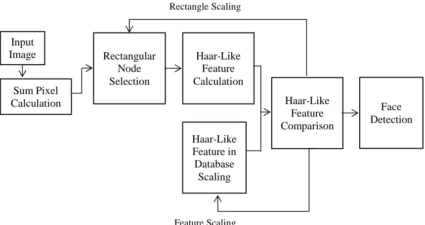 Fig.3 Detected Face 