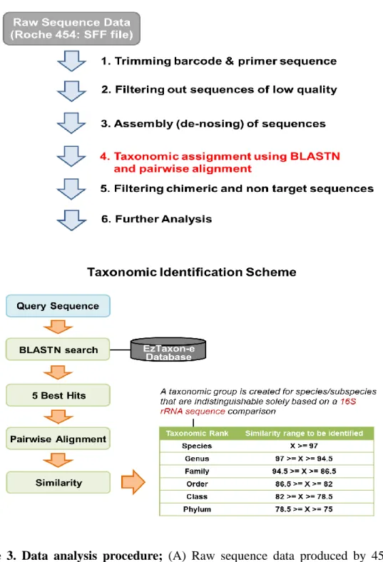 Figure  3.  Data  analysis  procedure;  (A)  Raw  sequence  data  produced  by  454  pyrosequencing  was  processed  in  6  steps