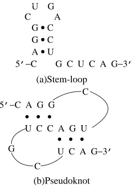 Figure 1: Example of RNA secondary structure