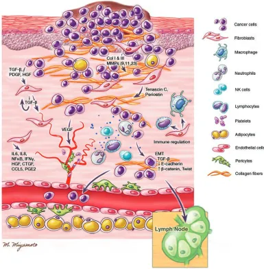 Figure 2. Detailed illustration of the tumor microenvironment showing representative cell types, tissues, and signaling factors involved