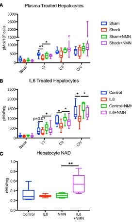 Figure 6. NMN rescues mitochondrial function and increases NAD in isolated hepatocytes after cytokine exposure