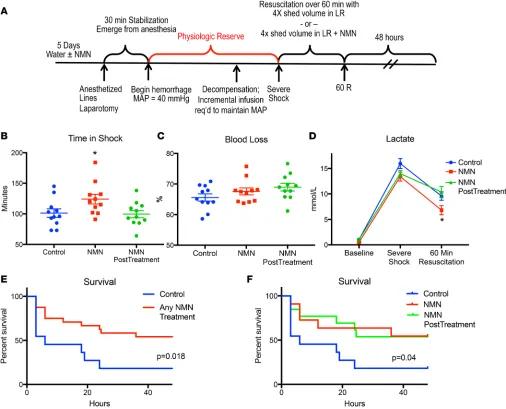 Figure 7. NMN enhances tolerance to hemorrhagic shock. Prior to the induction of hemorrhagic shock, animals received regular water or water combined, animals treated with NMN had a clear survival advantage when compared with control animals (containing 400