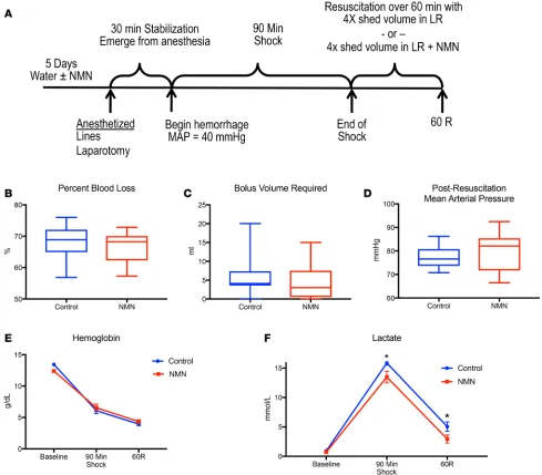 Figure 1. Experimental design and physiologic variables. Animals were randomized to water with or without NMN (400 mg/kg/d) for 5 days (group)