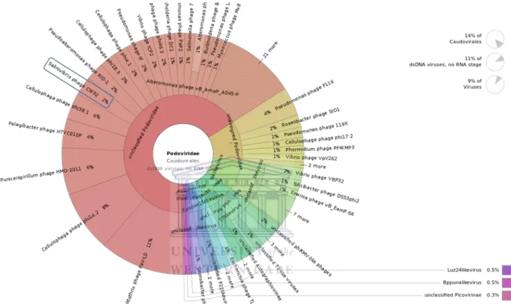 Figure  2.8:  Graphical  representation  of  the  podoviruses  found  in  the  saline  site  using  the  online  sequence data analysis tool, Metavir (Roux et al