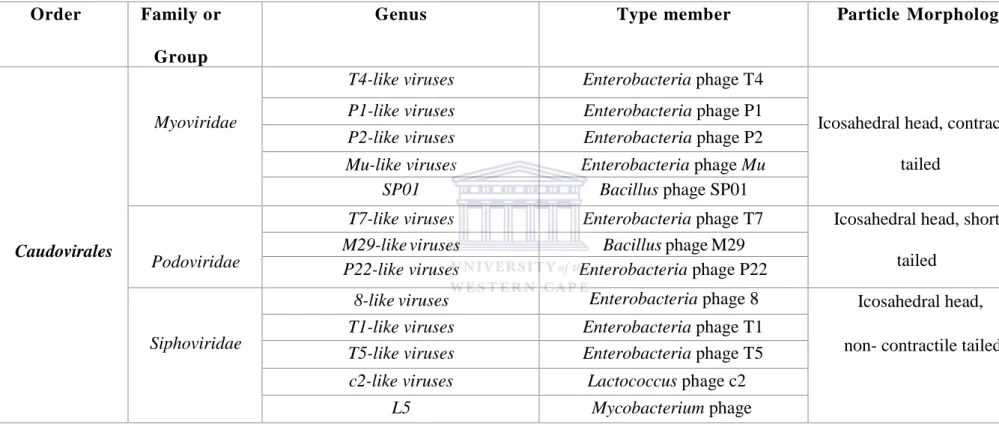 Table 1.1: An overview of phage families. Adapted from Ackermann 2007; Prangishvili &amp; Krupovic 2012 and modified