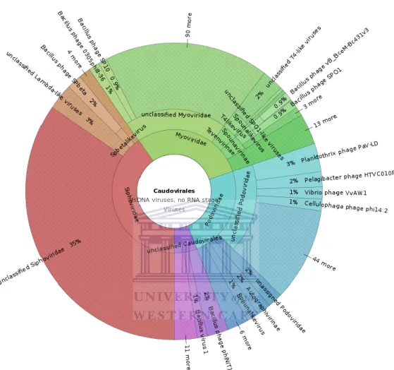 Figure 2.3: Graphical representation of the phage diversity of the copper site using the online sequence  data  analysis  tool,  Metavir  (Roux  et  al.,  2014)