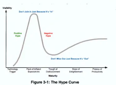 Figure 3-1: The Hype Curve