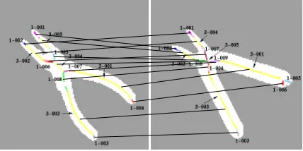 Figure 1: The Shock Graph Qualitative Shape Represen-tation: (a) the taxonomy of qualitative shape parts; (b) thecomputed shock points of a 2-D closed contour; and (c)the resulting shock graph.
