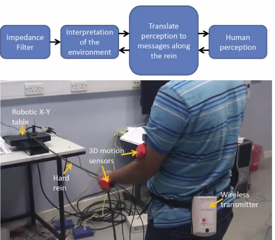 Figure 7 shows the experimental setup to study the interaction through various types of reins