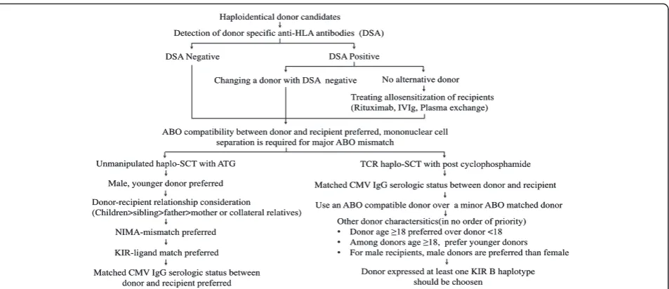 Fig. 1 Algorithm for haploidentical donor selection in unmanipulated haplo-SCT with ATG and haplo-SCT with PT/Cy