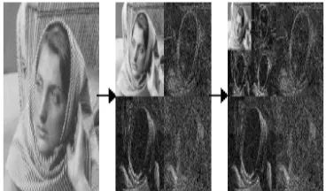 Fig. 3 DWT decomposition of barbera image into hierarchical sub bands   