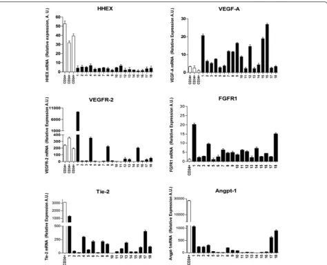 Fig. 2 Analysis of HHEX, VEGF-A, VEGFR-2, FGFR1, Tie-2, and Angp-1 mRNA levels in normal CB CD34+ cells and in leukemic blasts of 18 primary APLs.The expression levels of the mRNA of these genes were evaluated by real-time PCR, and the results reported in the figure represent the mean ± SEMvalues observed for individual analyses repeated three times