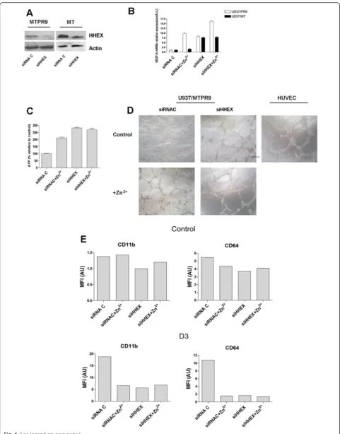 Fig. 6 (See legend on next page.)