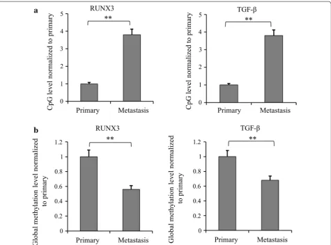Fig. 4 The methylation levels of RUNX3 and TGF-β in metastatic vs. primary renal cancer xenograft model