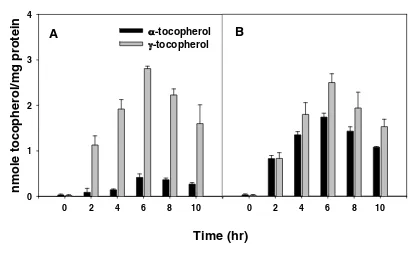 Figure 3The uptake and depletion of alpha- and gamma-toco-of three wells. Each experiment was performed twice withuptake of tocopherols measured during 6 hours of incuba-tion