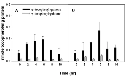 Table 4 shows the initial distribution of alpha-tocopherylquinone or gamma-tocopheryl quinone in both the medi-um and cells and the distribution after 6 hr of incubationwith each quinone separately or both quinones together.Only a very small fraction of th