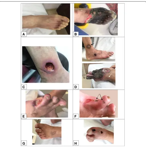 Fig. 1 (See legend on next page.)