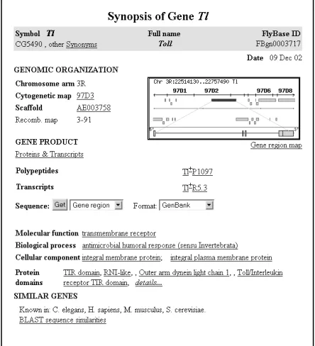 Figure 3: FlyBase entry for Toll 