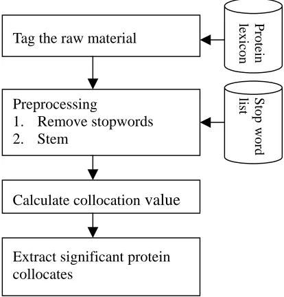 Figure 1. Flow of Mining Protein Collocates 