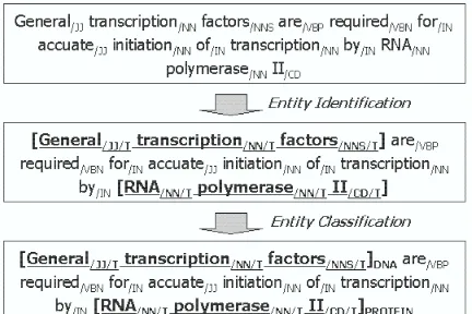Figure 1: Examples of Biomedical Named EntityRecognition