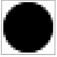 Figure 2.3: Low resolution image of a circle