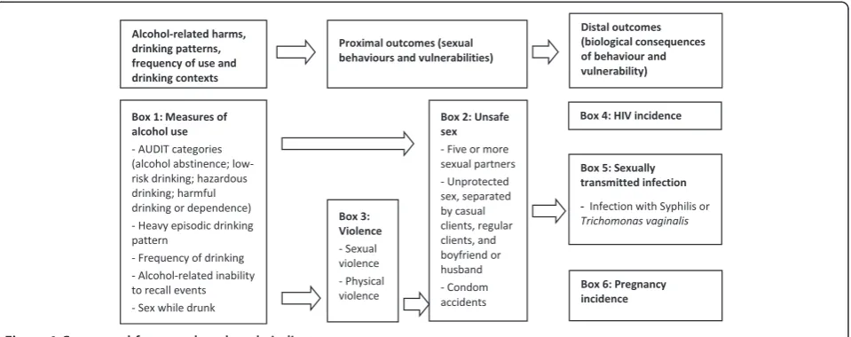 Figure 1 Conceptual framework and study indicators.