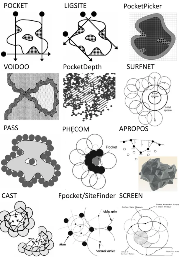 Figure  I-1:  Illustration  of  several  methods  utilizing  protein-structure  geometry  for  binding-site  identification