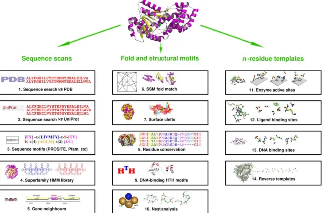 Figure  I-2:  Schematic  of  different  methods  used  by  the  ProFunc  server  to  predict  protein  functional  sites  and  infer  protein  function  in  general