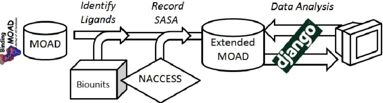 Figure II-5: Implementation of the extended Binding MOAD database. Scripts are used to load the  extended database