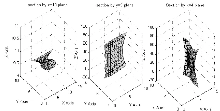 Figure IV: Section of the hyperpatch by planes parallel to z,y,x planes 