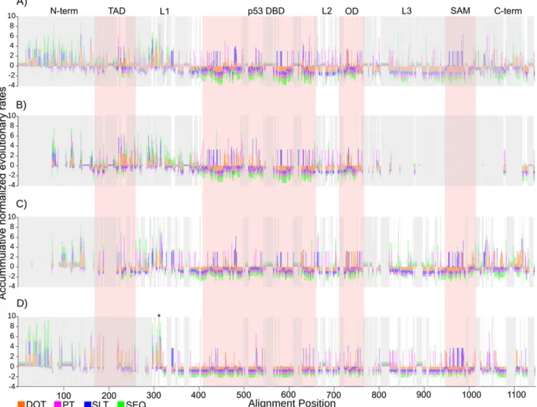 Fig 4. Accumulated evolutionary rates per site in vertebrates. Accumulated normalized evolutionary rates per site, (A) for the p53 family, (B-D) per clade p53, p73, and p63