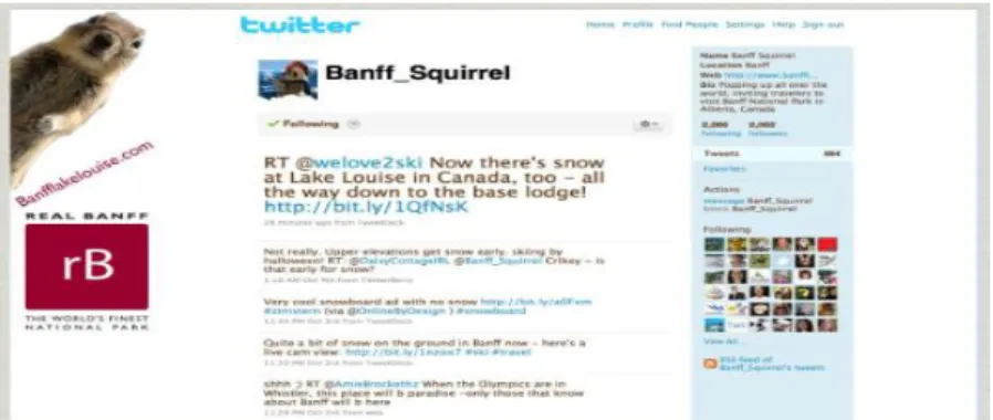 Fig. 7. Example of Twitter page 