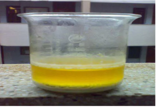Fig.4.DURING BIODIESEL PRODUCTION 