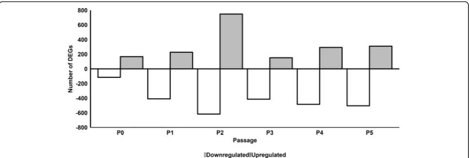 Fig. 1 Number of differentially expressed genes in pHPL-ASCs compared to FBS-ASCs at each passage