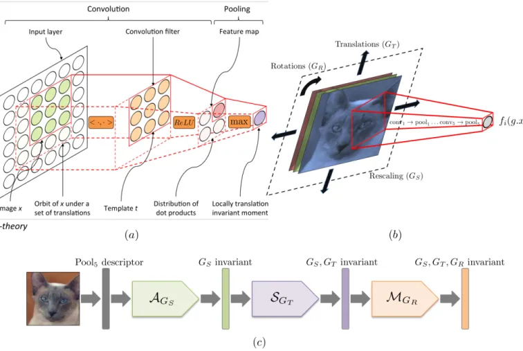 Fig. 1. (a) A single convolution-pooling operation from a CNN schematized for a single input layer and single output neuron