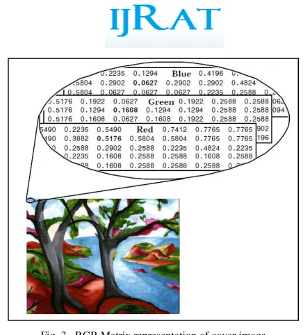 Fig. 3.  RGB Matrix representation of cover image 