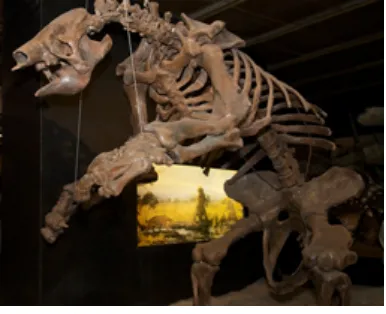 Figure 1.3 Giant Ground Sloth | The giantground sloth was one of the many megafauna indigenous to the Americas during the Pleistocene