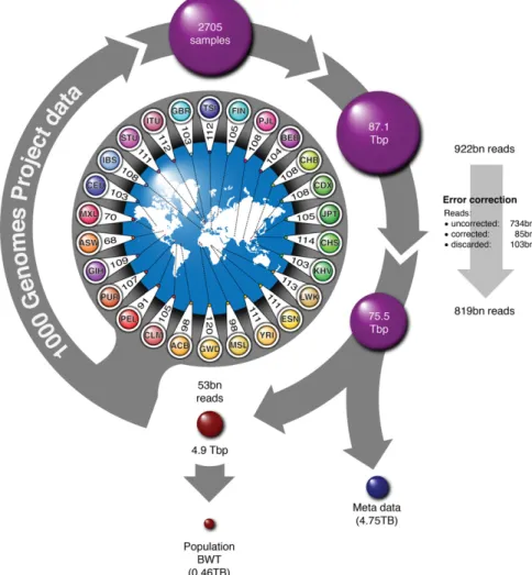 Figure 1 gives an overview of the data processing strategy. We be- be-gin with the whole-genome low coverage and exome sequencing reads from the final phase of the 1000GP (2705 individuals over 26 populations) consisting of ∼87 Tbp and 922 billion reads (T