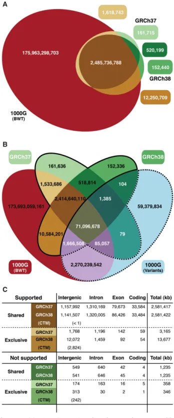 Figure 3. (A) 31-mer intersection of two human reference assemblies (GRCh37 and GRCh38) and the 1000GP population BWT