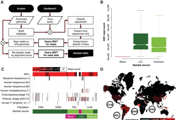 Figure 5. (A) Reference genomes (Human, bacteria, plasmids, and viruses) were downloaded using Kraken’s (Wood and Salzberg 2014) built-in routines and a Kraken database generated