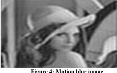 Figure 4: Motion blur image  