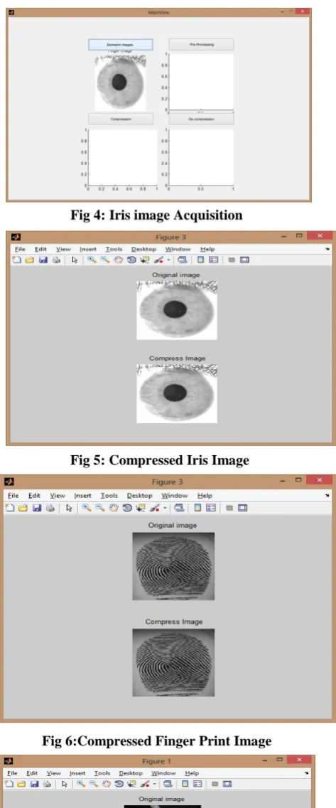 Fig 6:Compressed Finger Print Image 