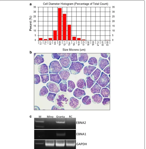 Fig. 1 Morphologic and phenotypic features of RC cells. a Distribution of the size (longest diameter) of RC cells after 16 months of cell culturing.b Representative image of H&E-stained RC cells after 16 months in cell culture