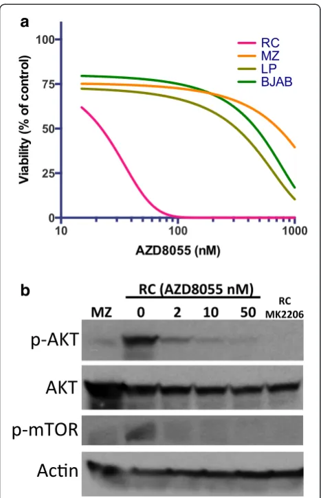 Fig. 6 Effects of an ATP competitive mTOR inhibitor AZD8055 in RCconcentrations for 24 h