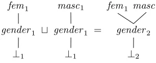 Figure 1: The type uniﬁcation feminine ⊔ feminine with weights