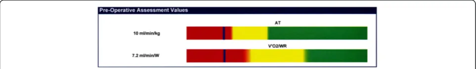 Figure 6 Colour graphics interpretation of AT and V_ O2 /WR slope. This graphic shows the gradual change from high risk (red) to low risk(green) via an area of caution (yellow)