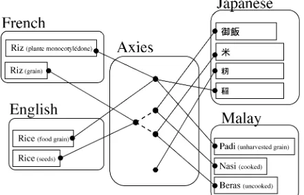 Figure 2. Illustration of Papillon's macrostructure. 