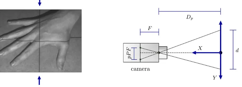 Figure 3.7: Calibrate   the   camera   [P]:   a   horizontal   distance   d   is   marked   on    The central vertical column of the projection pattern should be